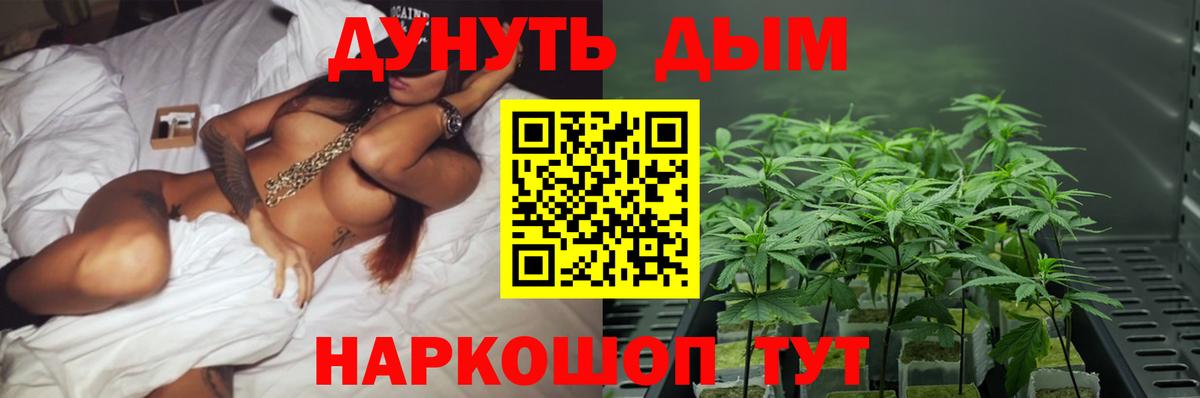 Электрогорск  МАРИХУАНА Bruce Banner  Вход с VPN  Шишки марихуана семена  Марихуана SATIVA & INDICA 